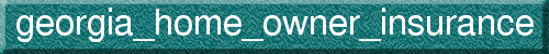 georgia_home_owner_insurance