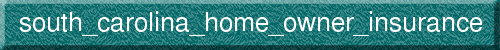 south_carolina_home_owner_insurance